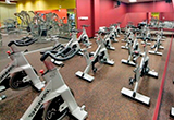 Gold's Gym Lefort