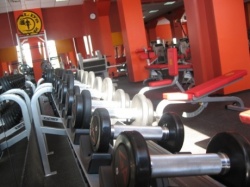 Зона свободных весов