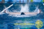 Gold's Gym Dinamo: итоги Открытого Чемпионата по плаванию 2012