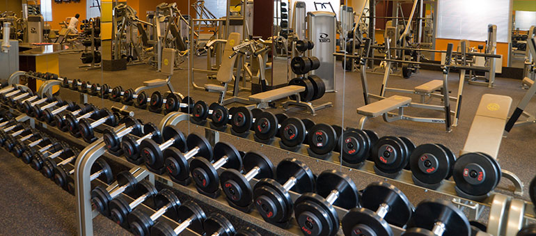 Gold s Gym Lefort